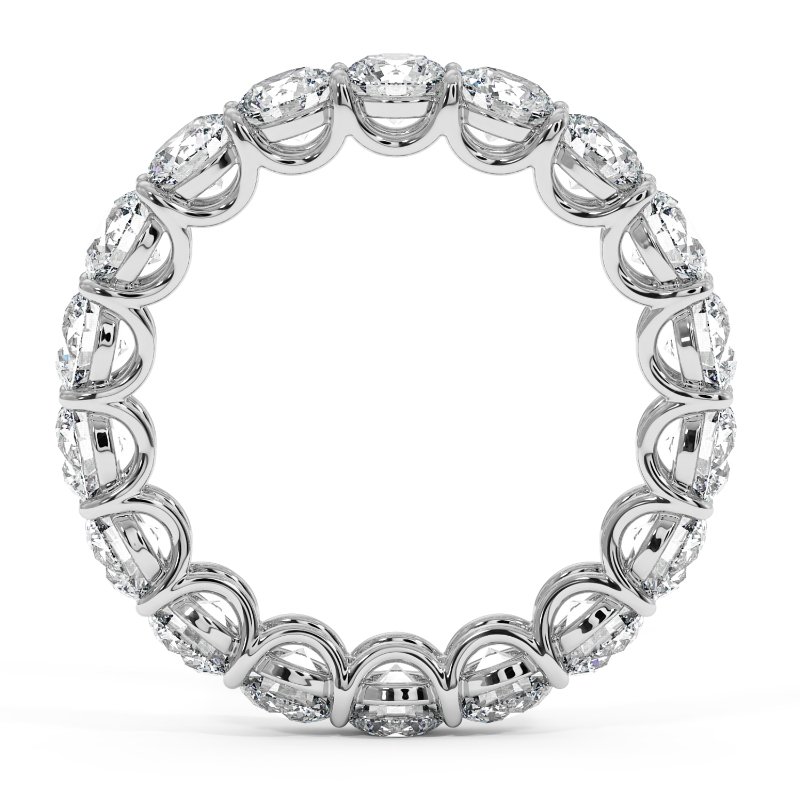 Platinum Naya Eternity Band