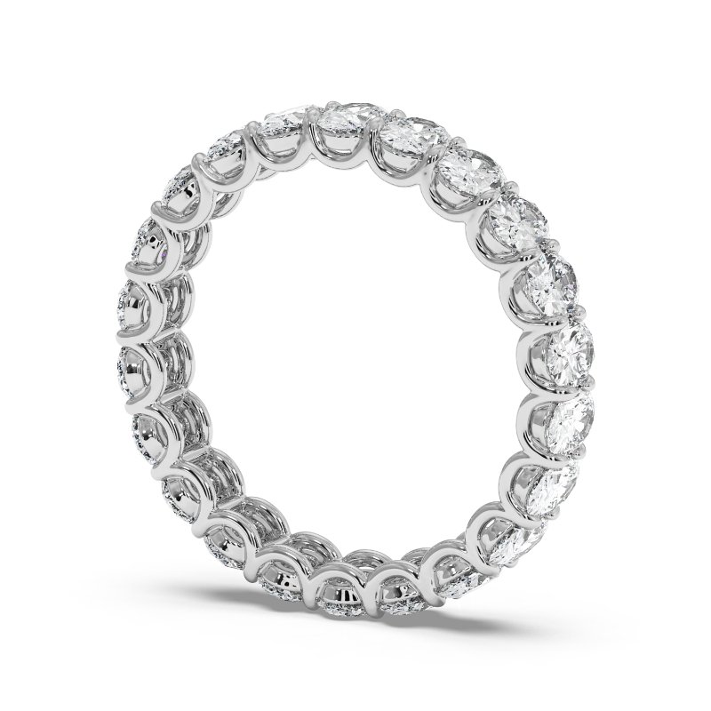 Platinum Naya Eternity Band