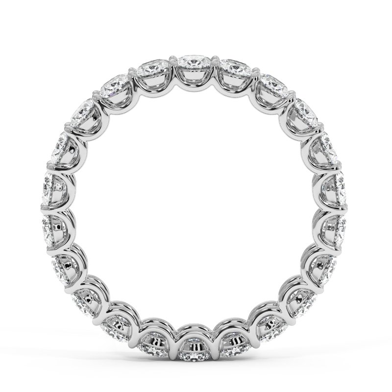 Platinum Naya Eternity Band